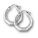 Huiscollectie 1001435 Silver Earrings