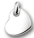 House collection 1011114 Silver charm