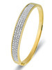 Huiscollectie 26-03-TRXX Bicolor gouden slavenband met diamant 1