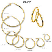 Huiscollectie 4013180 Golden earrings 2.5 mm round