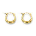 Huiscollectie 4013014 Golden earrings 15 mm