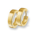 Huiscollectie 4001665 Golden earrings