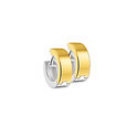 Huiscollectie 4201727 Bicolor golden earrings