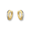 Huiscollectie 4011395 Bicolor golden earrings CZ