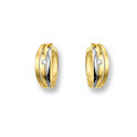 Huiscollectie 4011396 Bicolor golden earrings CZ