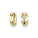 Huiscollectie 4200192 Bicolor golden earrings CZ