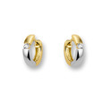 Huiscollectie 4201674 Bicolor golden earrings CZ