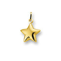 Huiscollectie 4010347 Golden charm star