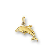 Huiscollectie 4001730 Golden Dolphin charm large