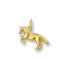 Huiscollectie 4001854 Golden charm Horse