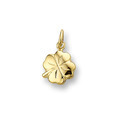 Huiscollectie 4005611 Golden clover charm