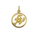 Huiscollectie 4005622 Golden cancer charm