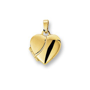 Huiscollectie 4012504 Golden medallion heart