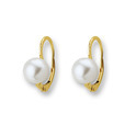 Huiscollectie 4010884 Golden Pearl earrings