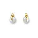 Huiscollectie 4011585 Golden Pearl earrings