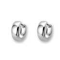 Huiscollectie 4100116 Whitegold Earrings