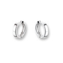 Huiscollectie 4100534 Whitegold Earrings