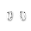 Huiscollectie 4100829 Whitegold Earrings