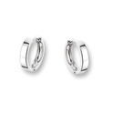 Huiscollectie 4100831 Whitegold Earrings