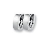 Huiscollectie 6500602 Steel earrings