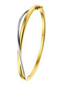 Huiscollectie 4201516 Golden bangle bracelet bicolor