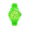 Ice-Watch IW000146 ICE Forever Green Big horloge 1
