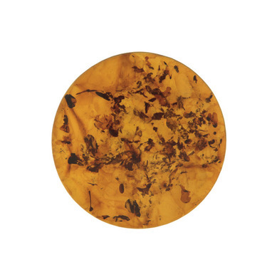 MYiMenso 29/551 Amber captured in resin