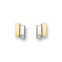 Huiscollectie 4202638 Bicolor golden CZ earrings