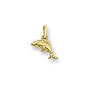 Huiscollectie 4001727 Golden Dolphin charm small
