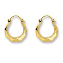 Huiscollectie 4014829 Gold earrings 14 mm