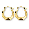 Huiscollectie 4014830 Gold earrings 16.8 mm
