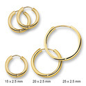 Huiscollectie 4001660 Gold earrings tube 2.5 mm