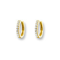 Huiscollectie 4016428 Gold earrings full CZ stones