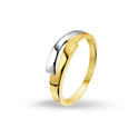 Huiscollectie 4205425 Bicolor gold ring