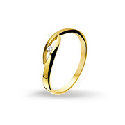 Huiscollectie 4014422 Gold ring