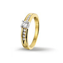 Huiscollectie 4205726 Bicolor gold CZ ring