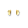 Huiscollectie 4009043 Gouden oorbellen 1