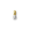 Huiscollectie 4205093 Bicolor gouden hanger met diamant 0.10 crt 1