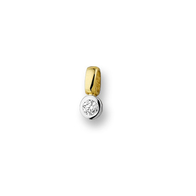 Huiscollectie 4205093 Bicolor gouden hanger met diamant 0.10 crt