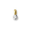 Huiscollectie 4205095 Bicolor gouden hanger met diamant 0.25 crt 1