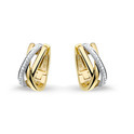 Huiscollectie 4206180 Bicolor gold earrings 0,12 crt
