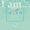 iam415n-wish-s 1