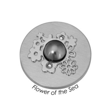 quoins-qmb-33l-e-flower-of-the-sea