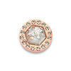 Mi Moneda LUN-12-XS Luna Grey Stainless Steel Rosegold Plated Disc With Flakes And Swarovski Crystals 1