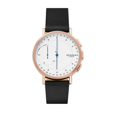 Skagen SKT1112 Signature Hybrid Heren horloge