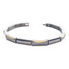 Boccia 03015-02 titanium armband verguld 1