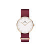 Daniel Wellington DW00100271 Classic Lady 36 mm Roselyn White rosegold horloge 1