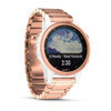 Garmin 010-01987-11 Fenix 5S PLUS Multisport GPS Smartwatch 3
