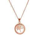 CO88 8CN-26013 Necklaces with CZ
