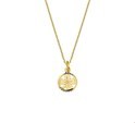Huiscollectie 4018540 [kleur_algemeen:name] necklace with pendant